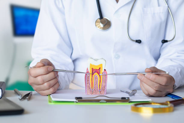 Best Emergency TMJ Treatment in Louisville, NE